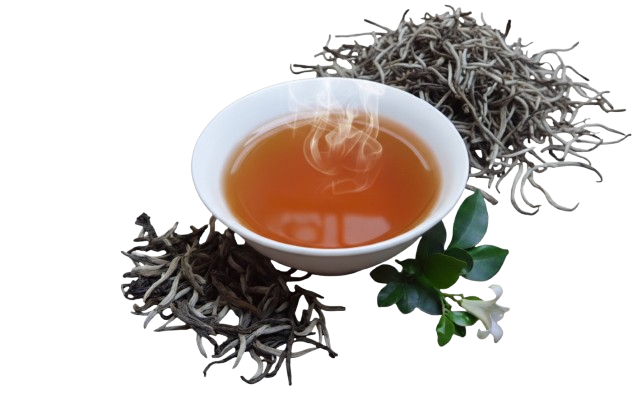 Vì sao chọn chúng tôi